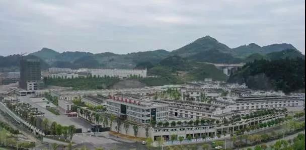 椰島“醬心”：5年50億，打造第2大醬酒基地