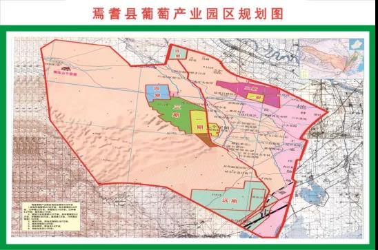 聚焦五大發(fā)展路徑，新疆巴州打造優(yōu)質(zhì)葡萄酒產(chǎn)業(yè)集群