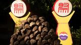 透過(guò)一場(chǎng)“端午祭麥”，尋找茅臺(tái)品質(zhì)源頭