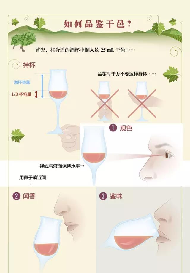 如何品鑒干邑？
