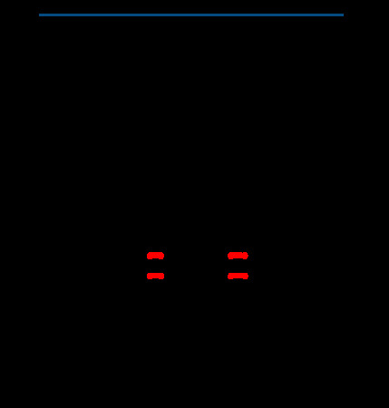 2016飛天茅臺53市場價(jià)(53飛天茅臺市場價(jià)多少了)