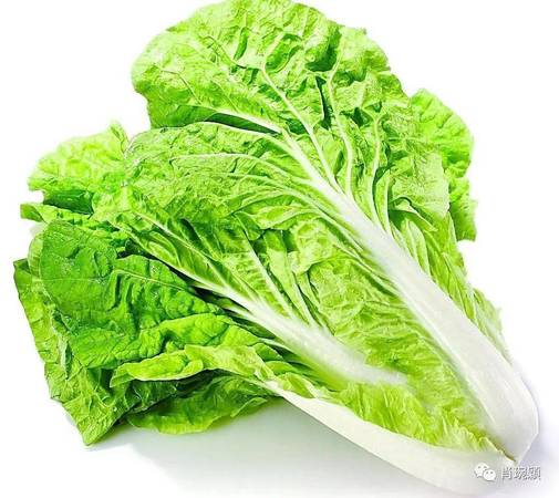 吳窖1575價(jià)格白菜(吳窖1575多少錢一瓶)