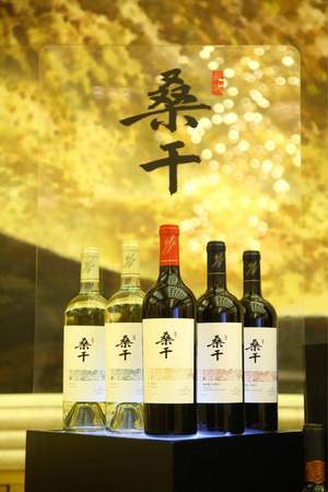 怎么辯長城紅酒(長城紅酒怎樣)
