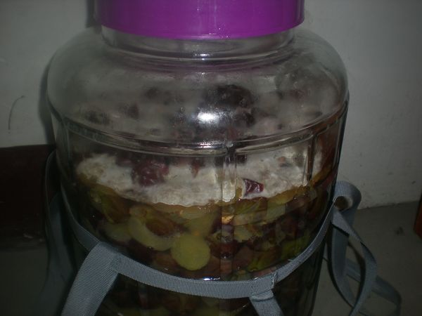 自制葡萄酒有何危險(自己制作葡萄酒危害)