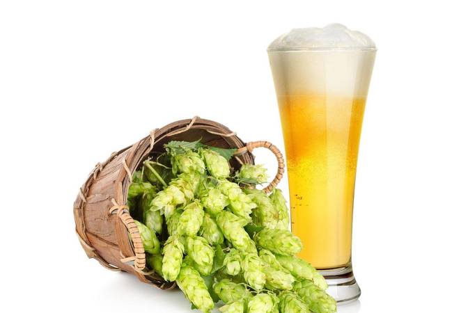 可可原產地哪個洲(可可原產地是哪個洲)